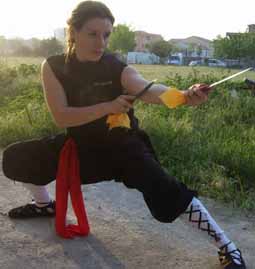 Kung Fu Thieu Lam Hong Quyen