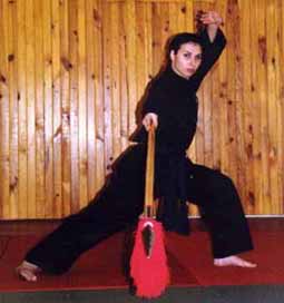 Kung Fu Thieu Lam Hong Quyen